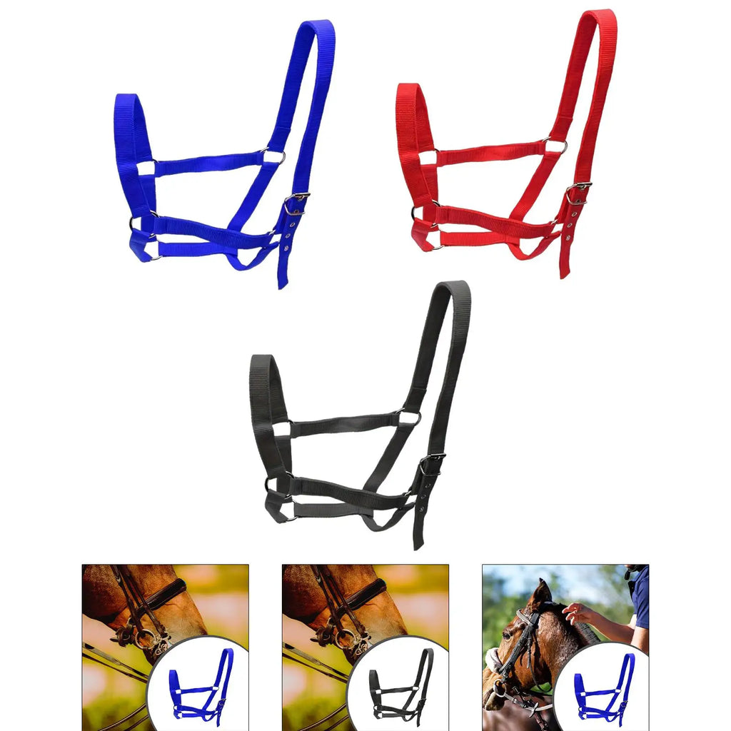 Durable Horse Halter Training Rope Harness Adjustable Bridle for