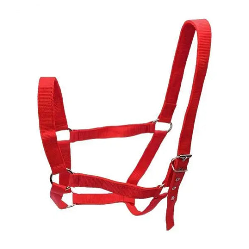 Durable Horse Halter Training Rope Harness Adjustable Bridle for