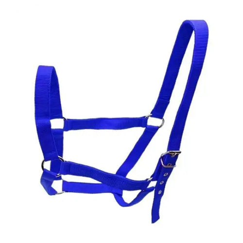 Durable Horse Halter Training Rope Harness Adjustable Bridle for
