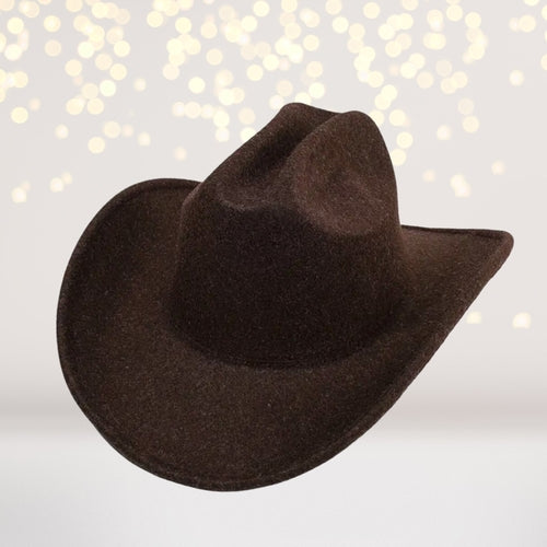 Brown Felt Cowboy Hat- Western Style Felt Hat